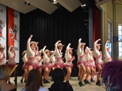 WhatsApp-Image-2026-03-16-at-16.58.25-2